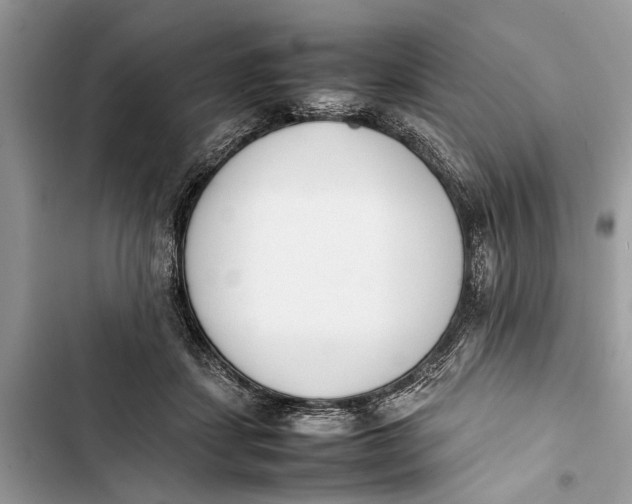 X0000103450459200810031439