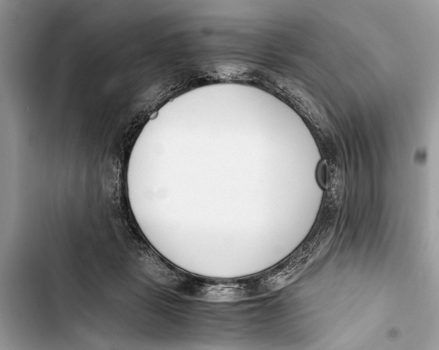 X0000103450461200810031439