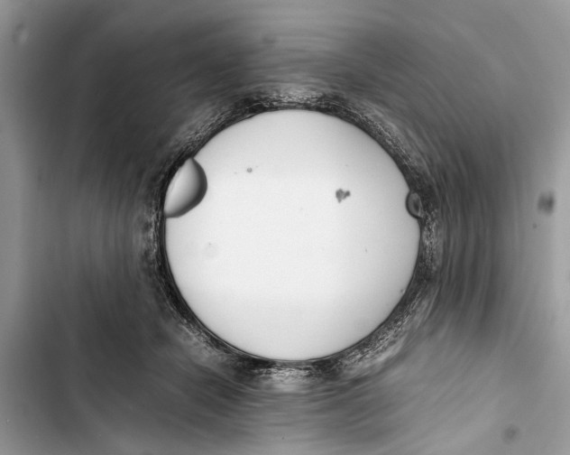 X0000103450462200810031440