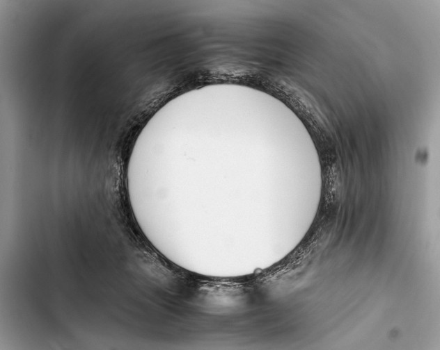 X0000103450463200810031440