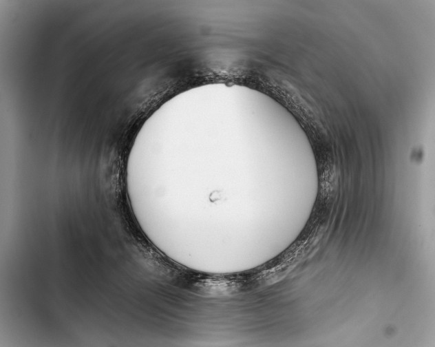 X0000103450464200810031440