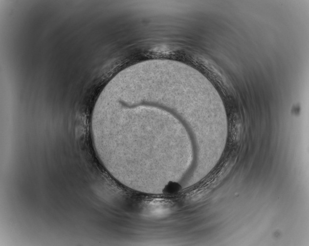 X0000103450467200810031440