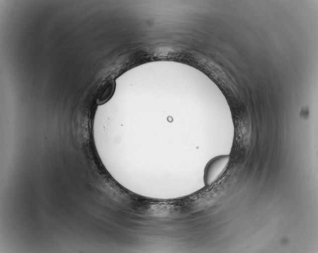 X0000103450470200810031440