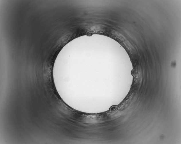 X0000103450473200810031440