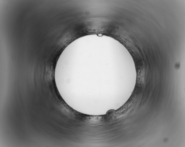 X0000103450474200810031440