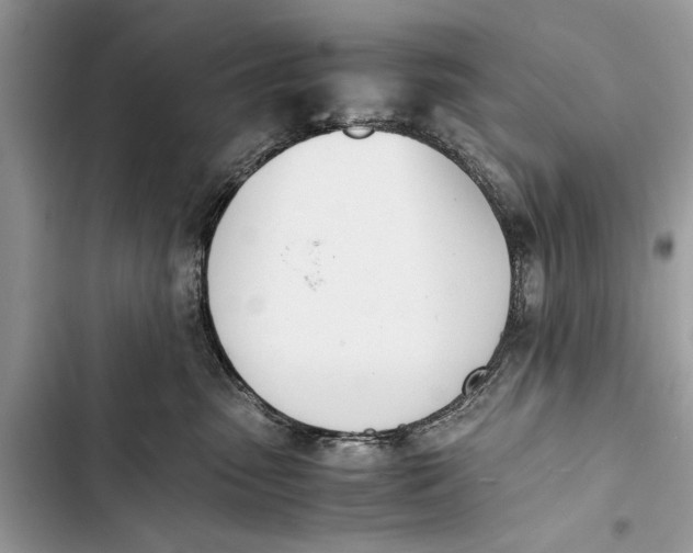 X0000103450475200810031440