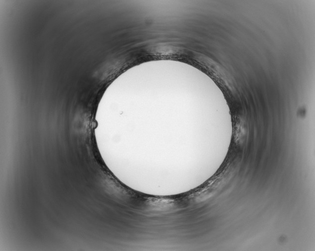 X0000103450476200810031440