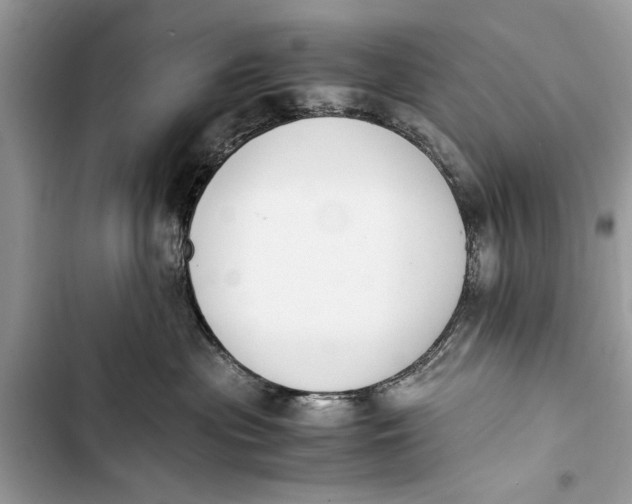 X0000103450477200810031440