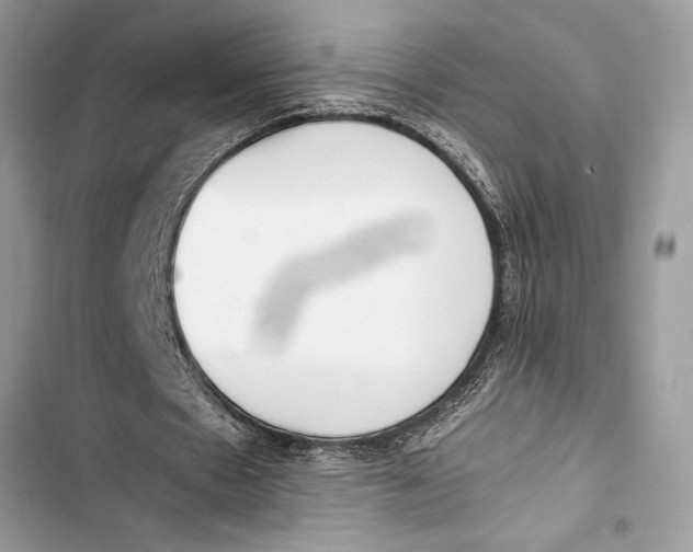 X0000103450481200810031439