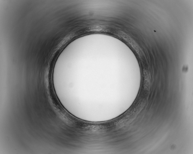 X0000103450482200810031439