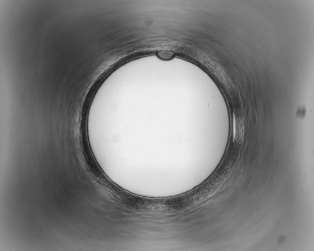 X0000103450483200810031439