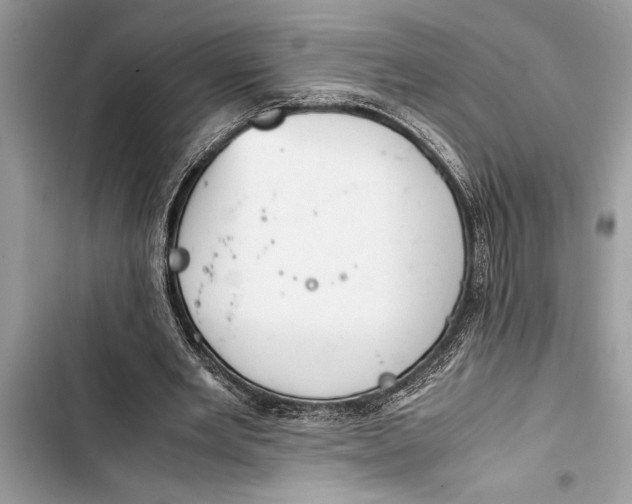 X0000103450485200810031439