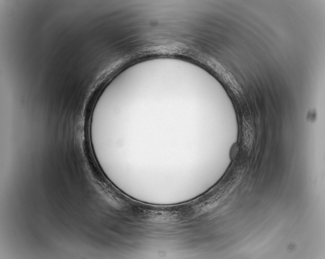 X0000103450486200810031439