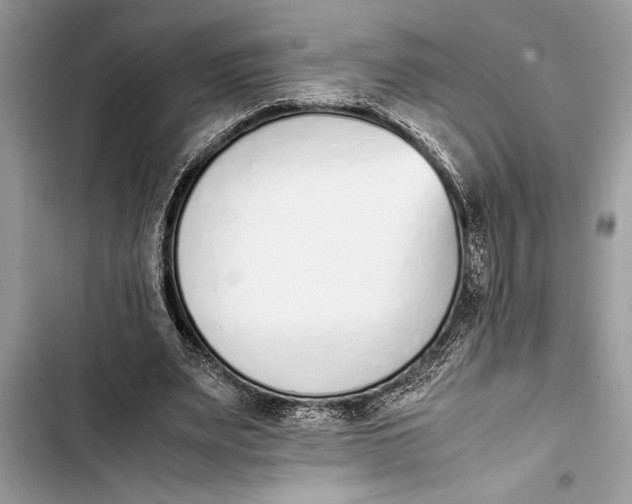 X0000103450487200810031439