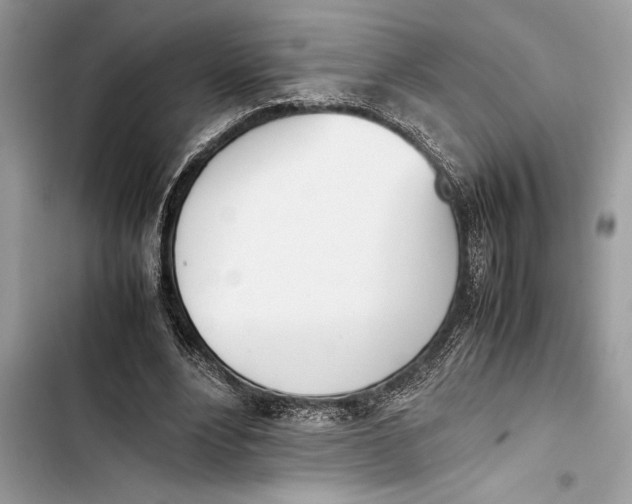 X0000103450488200810031439