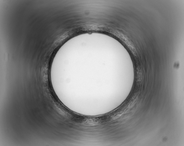 X0000103450489200810031439