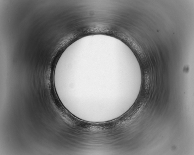 X0000103450490200810031439