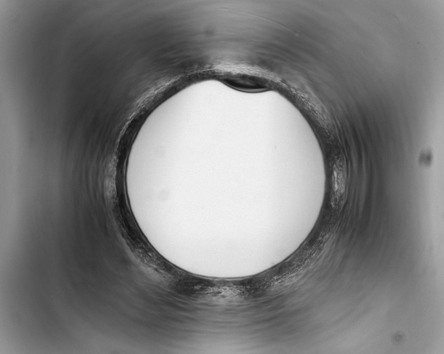 X0000103450492200810031439