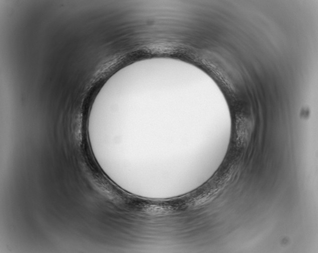 X0000103450494200810031439