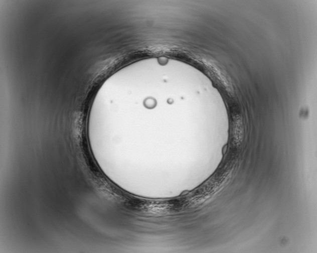 X0000103450495200810031439