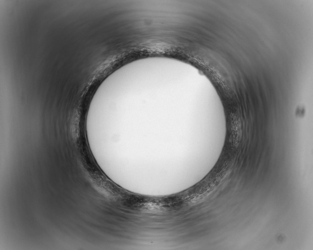 X0000103450496200810031439