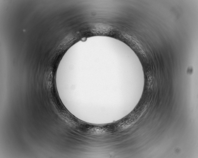 X0000103450498200810031439