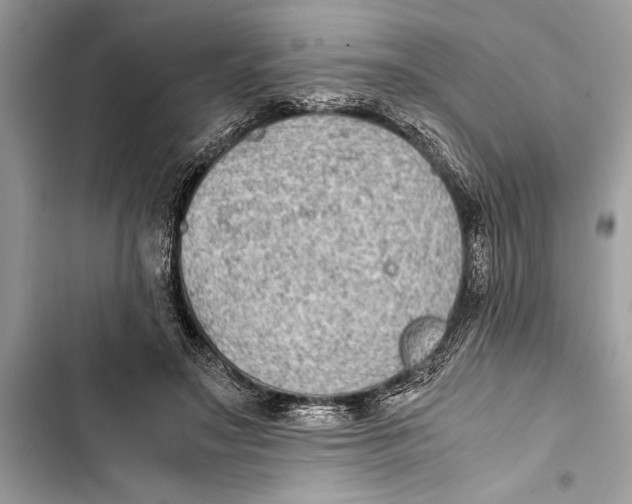 X0000103450499200810031439