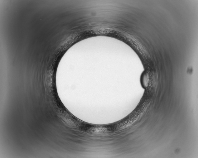 X0000103450501200810031439