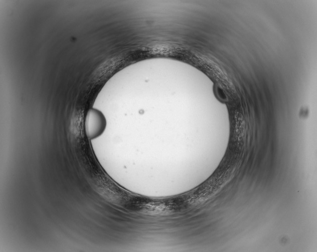 X0000103450502200810031439