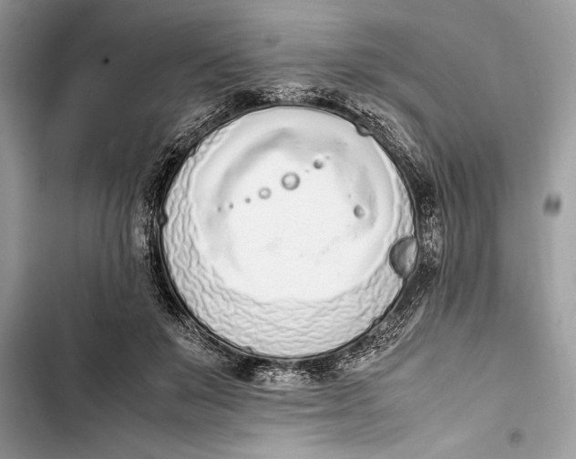 X0000103450503200810031439