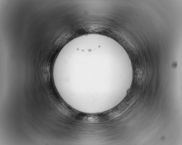 X0000103450506200810031439