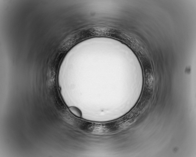 X0000103450507200810031439