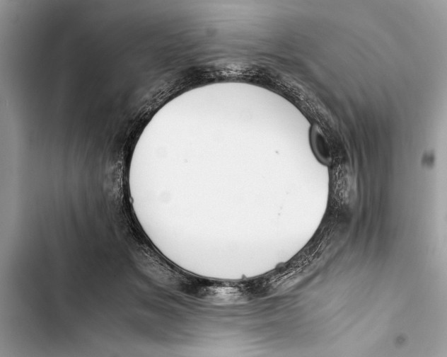 X0000103450509200810031439