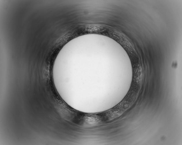 X0000103450510200810031439