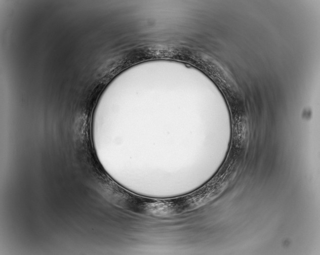 X0000103450511200810031439