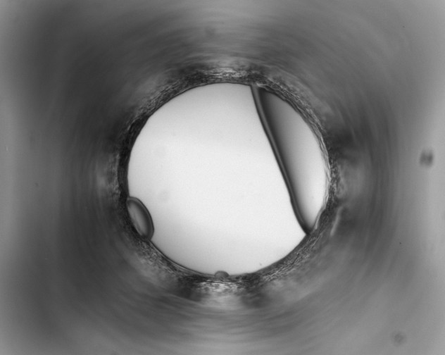 X0000103450512200810031438