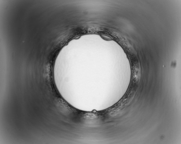 X0000103450519200810031438