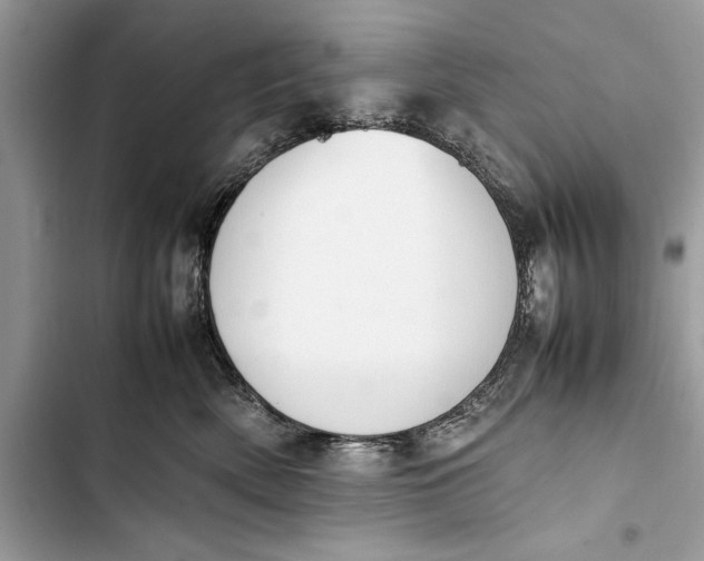 X0000103450522200810031438