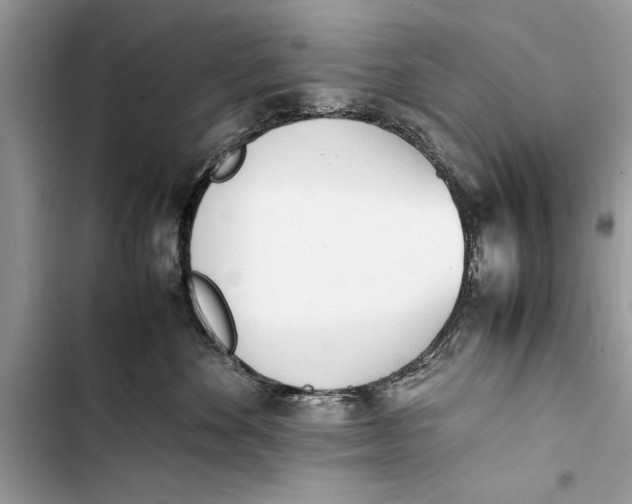 X0000103450524200810031438