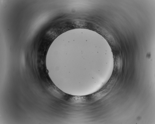 X0000103450526200810031438