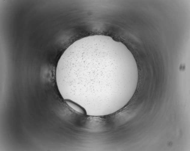 X0000103450528200810031438