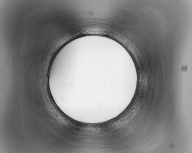 X0000103450529200810031438