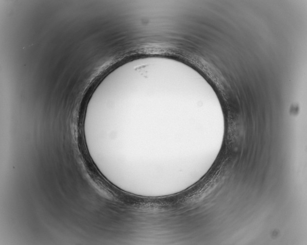 X0000103450530200810031438