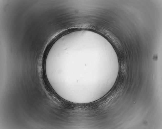 X0000103450532200810031438