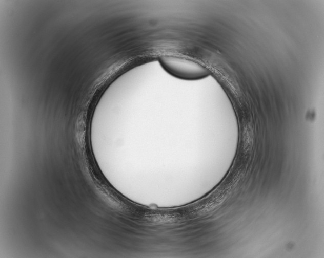 X0000103450533200810031438