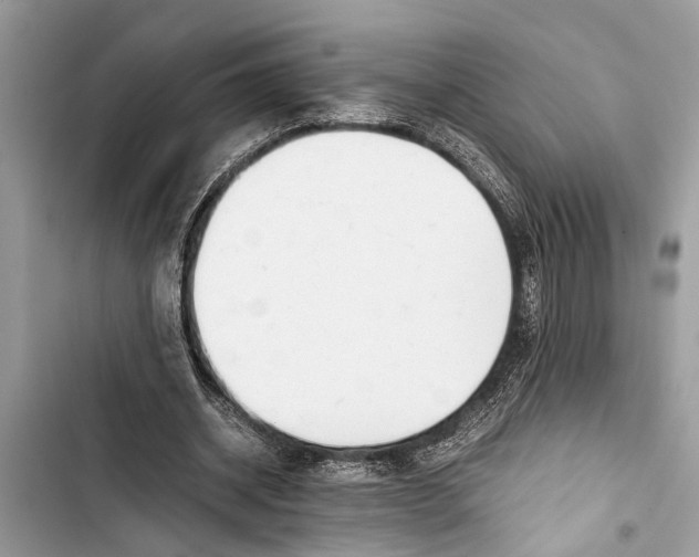 X0000103450534200810031438