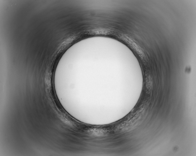 X0000103450537200810031438