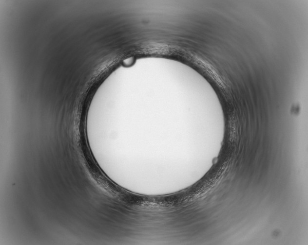 X0000103450538200810031438