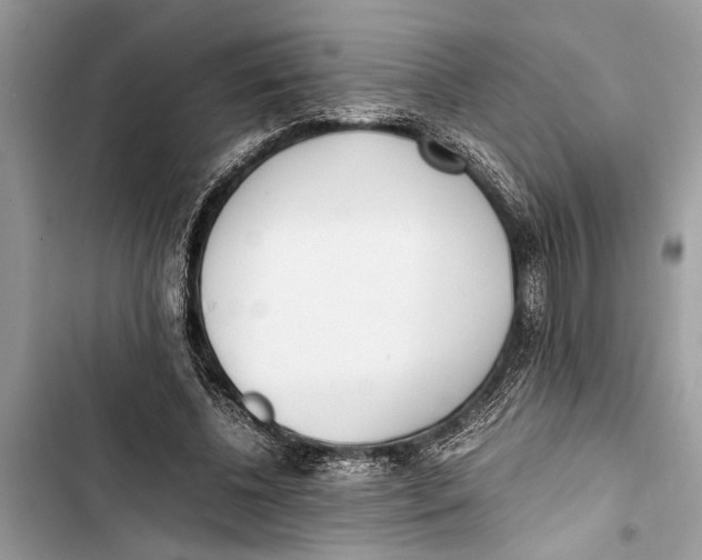 X0000103450540200810031438