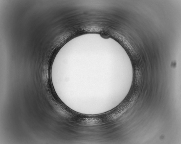 X0000103450541200810031438